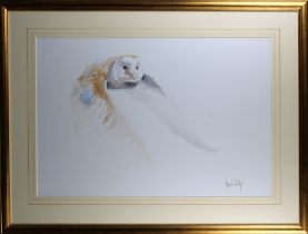 Spencer Hodge (b.1943) Barn Owls watercolours, both signed lower right (pair) portrait - 19 x 26¼in.