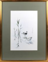 Colin Woolf (British, b.1956) Wading Avocet watercolour, signed & dated 98' lower left 14 x 9½in. (