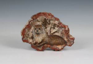 Jan Smith - hand painted fossil art hand painted fossil stone, painted with an Otter, signed lower