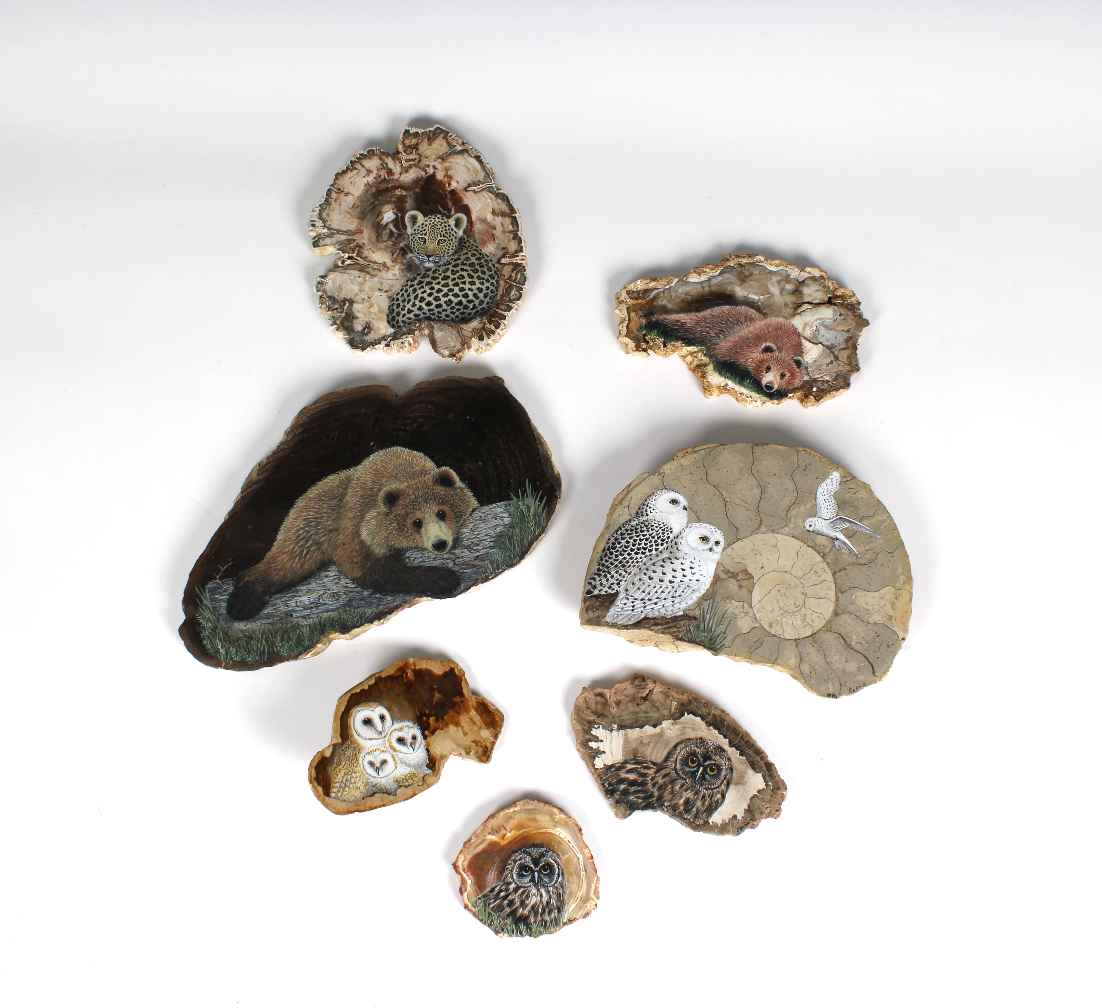 Jan Smith - hand painted fossil art A small collection, to include a polished ammonite, hand painted