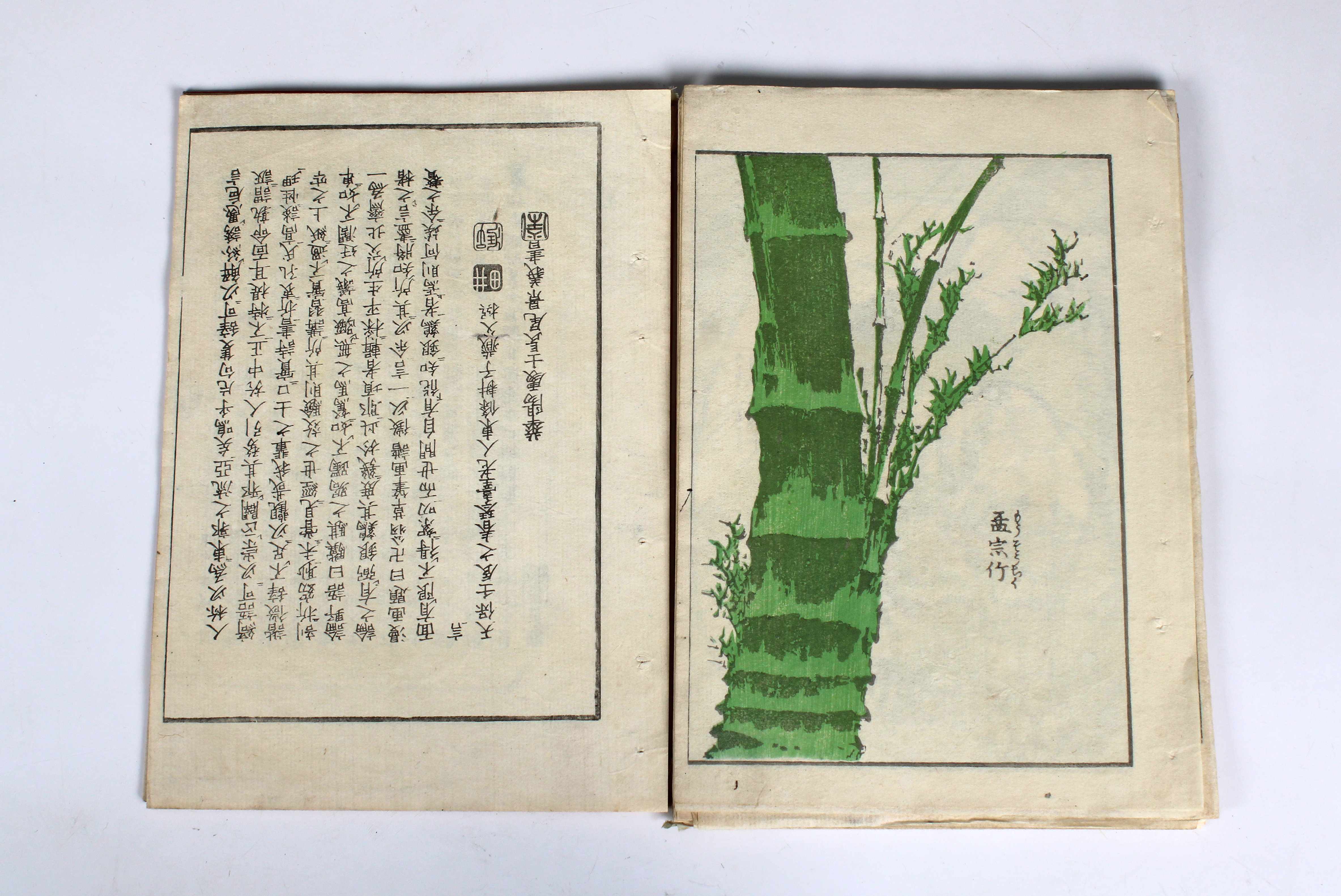 A bound collection of Chinese woodblock prints - Image 2 of 6