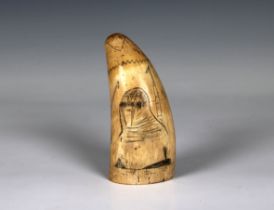Scrimshaw style tusk, engraved with a comical walrus and a harpoon and dated 1868