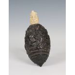 A finely carved ( Bugbear) "BATAILLE D' AUSTERLITZ" (Battle of Austerlitz) coconut powder flask