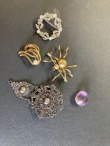 Small batch of costume jewellery including spider broach