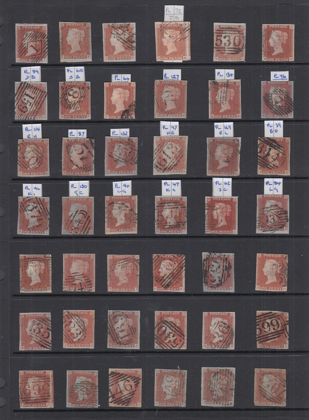 Stock page of 1841 Penny Reds all appear to be four margin examples (42)