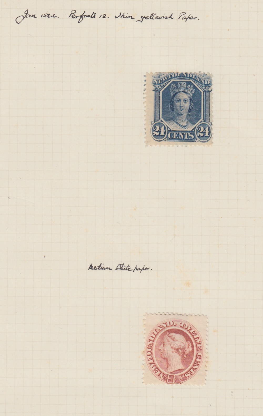 1865 24c blue and 12c chestnut mounted mint on album page Cat £125