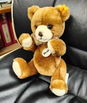 A modern Steiff bear 'Petsy' with labels and original tags
