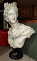 A large modern classical Library style bust of Apollo in resin, height 55cm