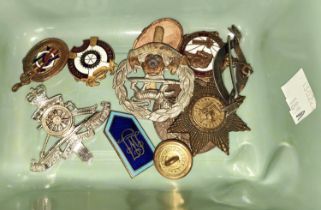 A collection of enamel and other badges