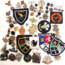 A collection of military cap badges and other badges,  Norfolk Regiment  etc.