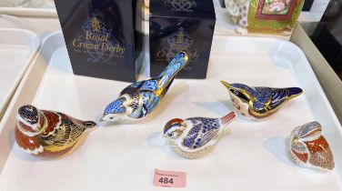 5 Royal Crown Derby bird paperweights:- Nuthatch, Mountain Bluebird, Teal, Duckling, Chaffinch (2