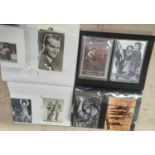 Two albums of vintage film related postcards:  John Wayne; etc., 240 approx.