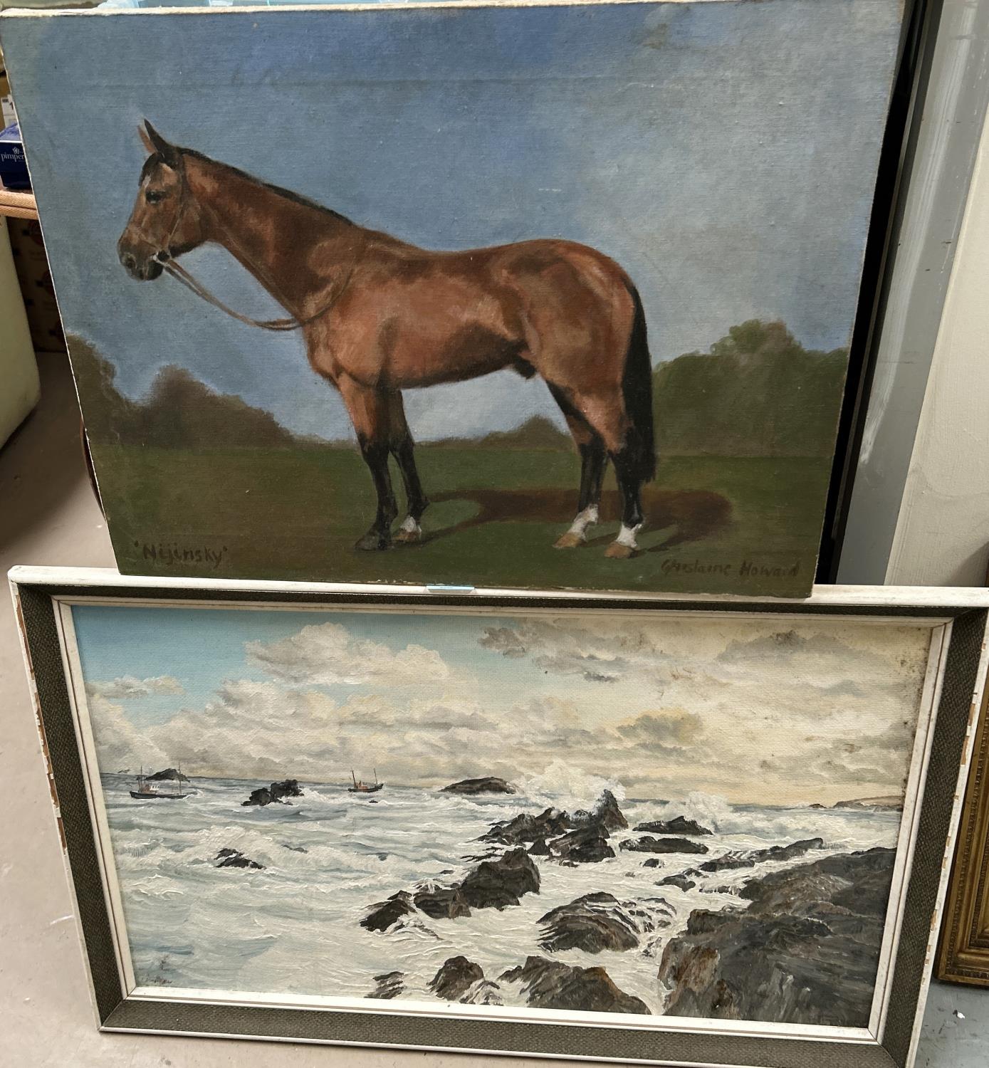 Ghislaine Howard (British 1953) 'Nijinsky' oil on canvas of a horse, unframed and an oil on board of