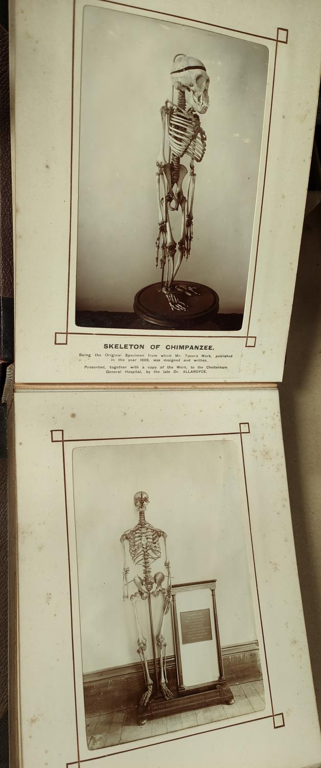 A MOST INTERESTING COUNTRY ESTATE photograph album to include images of skeletons, bicycle riders, a - Image 5 of 9