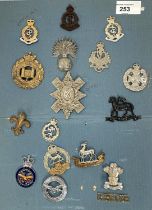 A collection of military badges on a card including officers etc