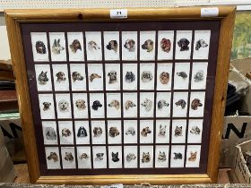 A framed set of Players cigarette cards. Dogs.