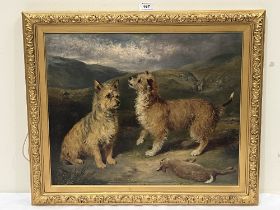 ENGLISH SCHOOL. 19TH CENTURY Two terriers and a dead rabbit in a landscape. Indistinctly signed