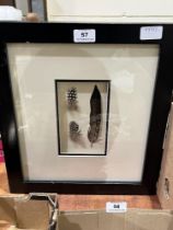 Three framed gamebird feathers in single frame.