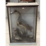 A Victorian cased taxidermy heron with other birds. The case 39" x 27".