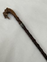 An Edward VII blackthorn walking cane, the pommel carved as a glass eyed hound's head with gamebird,