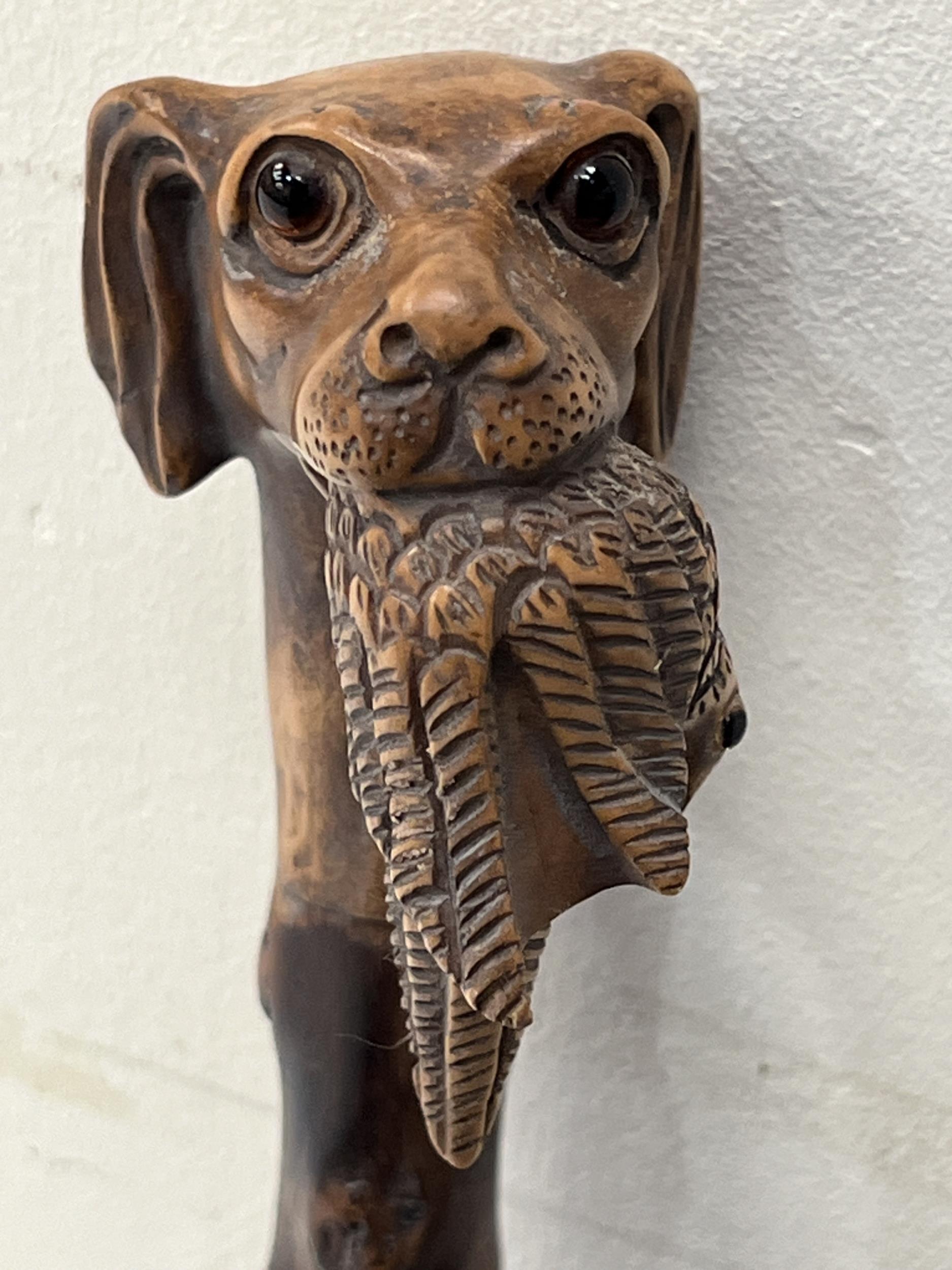 An Edward VII blackthorn walking cane, the pommel carved as a glass eyed hound's head with gamebird, - Image 3 of 3