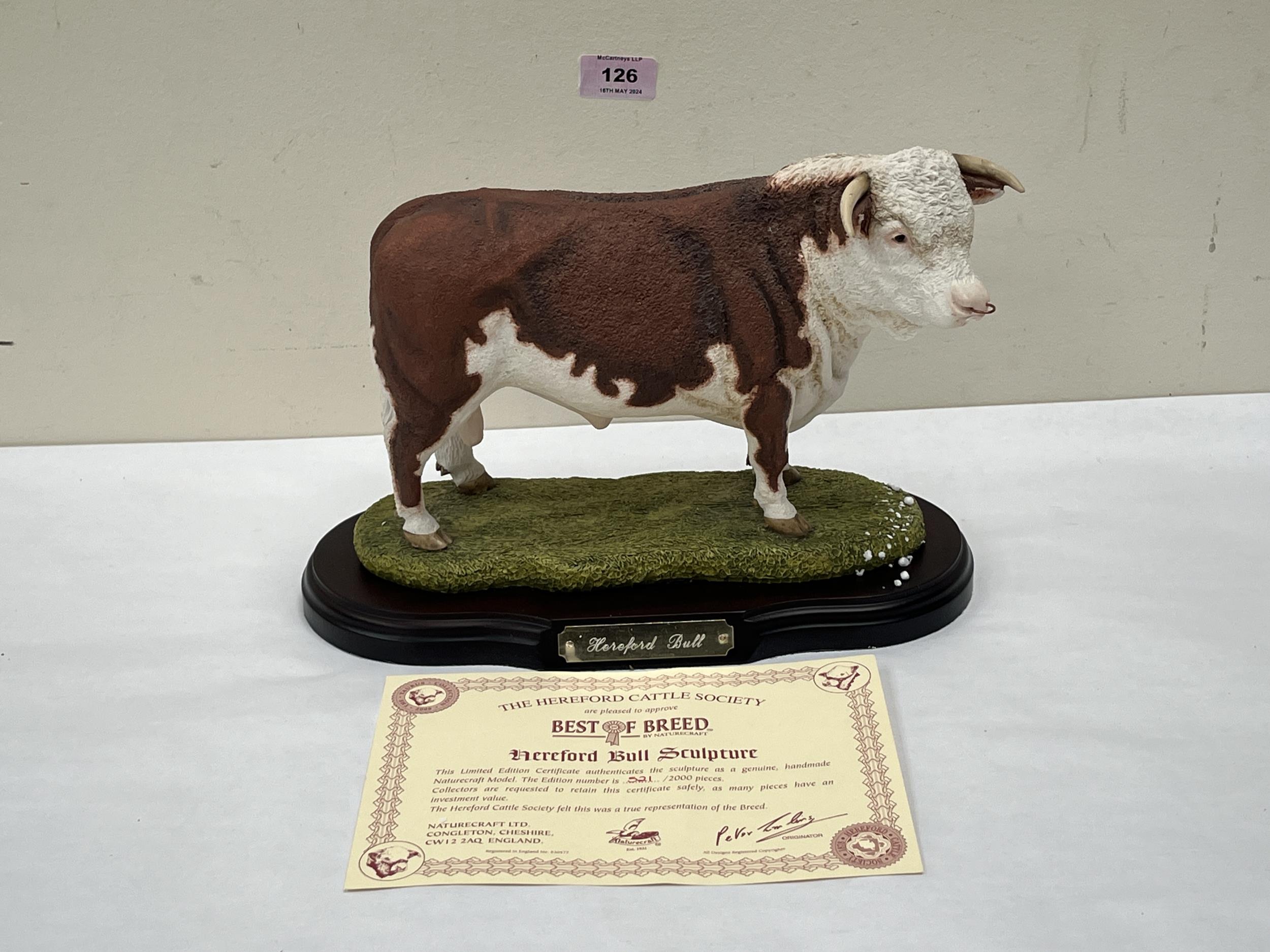 A Best Of Breed Hereford Bull resinous sculpture for the Hereford Cattle Society. Limited edition