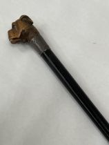 A Victorian walking cane with silver collar (split); the boxwood pommel carved as a bulldog head