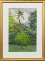 * ROBERT SAWYERS ARCA (BRITISH 1923 - 2002), GARDENS, ST ANDREW, JAMAICA