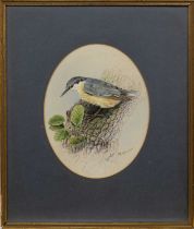 M SPENCER (BRITISH 20TH CENTURY), PERCHED BIRDS
