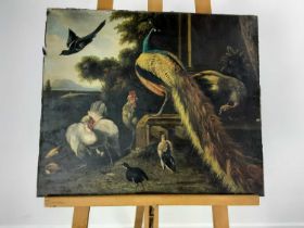 IN THE STYLE OF THE OLD MASTERS, PEACOCK, CHICKENS AND BIRDS
