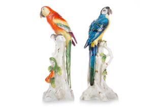 CAPODIMONTE, PAIR OF PORCELAIN PARROTS, 19TH CENTURY