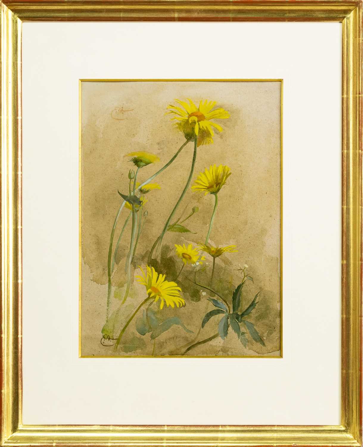 EDWIN JOHN ALEXANDER RSA RSW RWS (SCOTTISH 1870 - 1926), YELLOW DAISIES