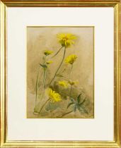 EDWIN JOHN ALEXANDER RSA RSW RWS (SCOTTISH 1870 - 1926), YELLOW DAISIES