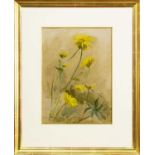 EDWIN JOHN ALEXANDER RSA RSW RWS (SCOTTISH 1870 - 1926), YELLOW DAISIES