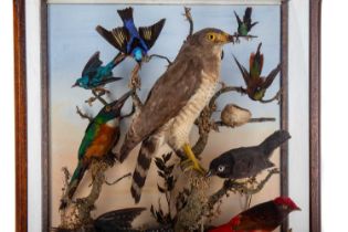 VICTORIAN TAXIDERMY ORNITHOLOGICAL GROUP,