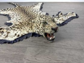 TAXIDERMY LEOPARD SKIN RUG IN THE MANNER OF VAN INGEN & VAN INGEN, (PANTERA PARDUS), EARLY 20TH CENT