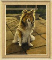 * EDNA BIZON (BRITISH 1929 - 2016), SHETLAND SHEEP DOG