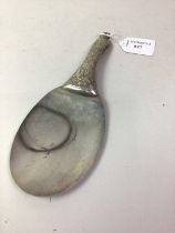 SILVER SCOOP,