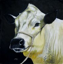 CLIVE FREDRIKSSON, PORTRAIT OF A COW