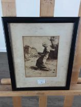 COLLECTIOON OF ETCHINGS,