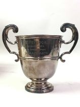 COLLECTION OF SPORTING TROPHIES,