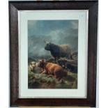 PRINT OF HIGHLAND CATTLE,