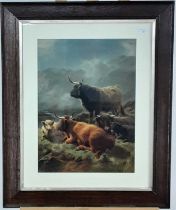 PRINT OF HIGHLAND CATTLE,