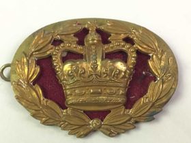 COLLECTION OF CAP BADGES, AND FURTHER INSIGNIA