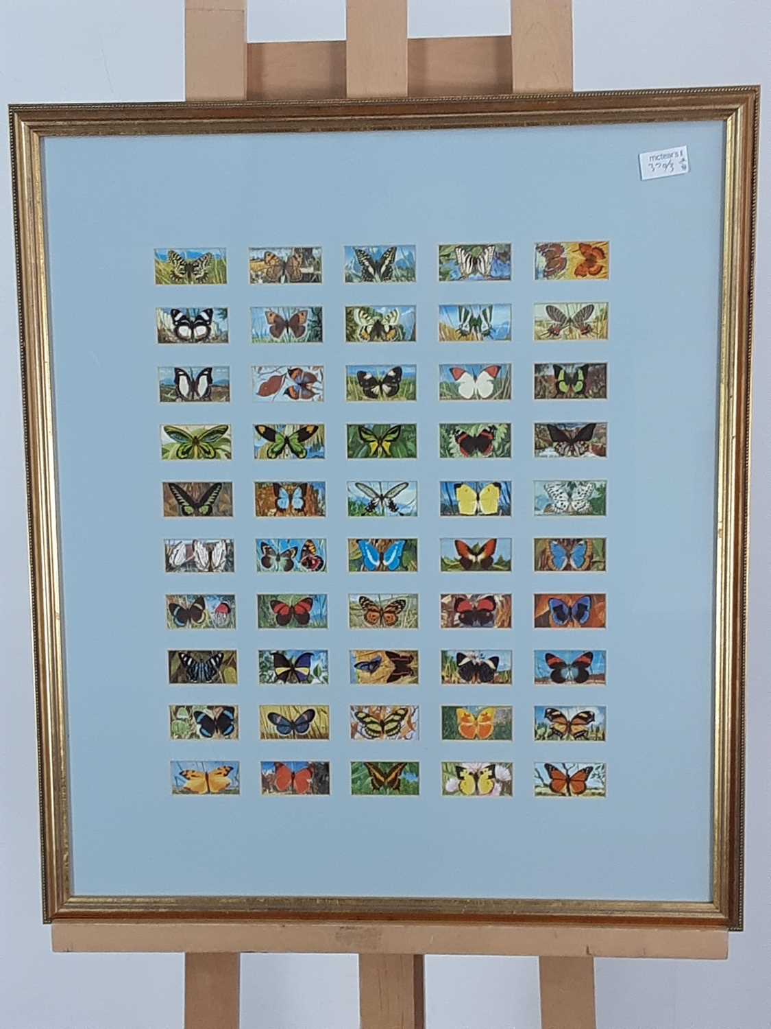 WALL MIRROR, PRINT OF BLACKFACE EWES AND FRAMED BUTTERFLY TEA CARDS - Image 2 of 3