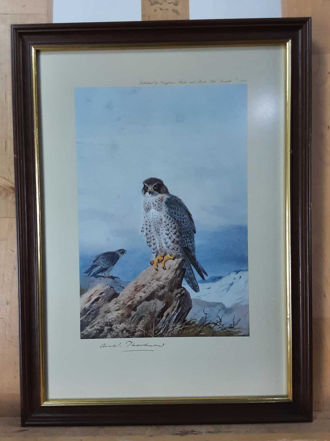 AFTER ARCHIBALD THORBURN (SCOTTISH 1860 - 1935), TEN PRINTS - Image 8 of 10