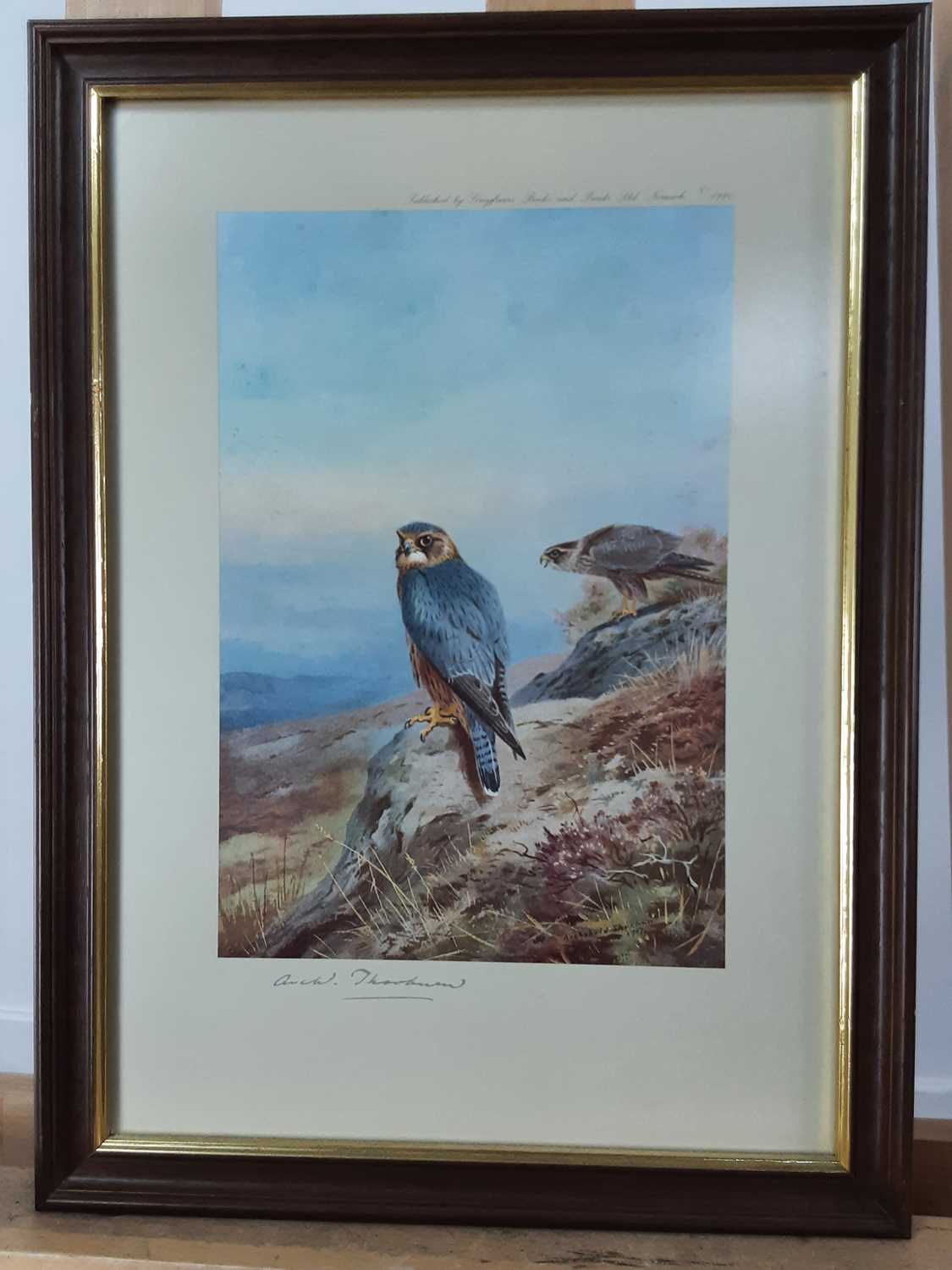 AFTER ARCHIBALD THORBURN (SCOTTISH 1860 - 1935), TEN PRINTS - Image 3 of 10