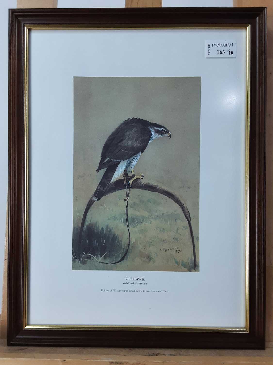 AFTER ARCHIBALD THORBURN (SCOTTISH 1860 - 1935), TEN PRINTS - Image 2 of 10