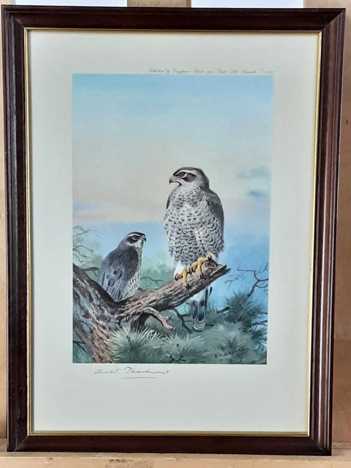 AFTER ARCHIBALD THORBURN (SCOTTISH 1860 - 1935), TEN PRINTS