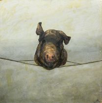 * CRAIG MULHOLLAND (SCOTTISH b. 1969), PIG'S HEAD STUDY